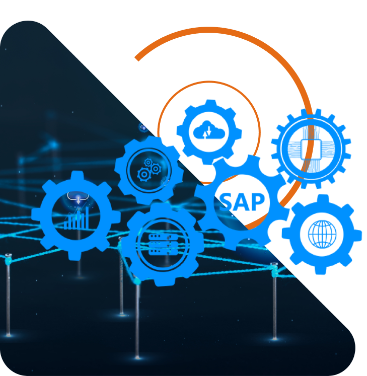 SAP Software Solution